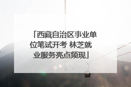 西藏自治区事业单位笔试开考 林芝就业服务亮点频现