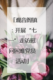 观音阁镇：开展“七一”走访慰问困难党员活动