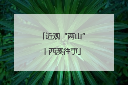 近观“两山”丨西溪往事