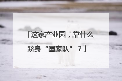 这家产业园，靠什么跻身“国家队”？