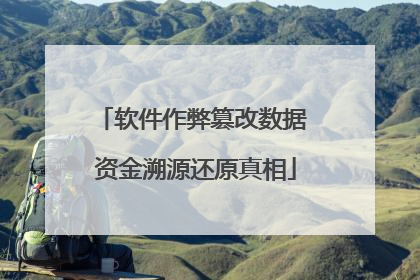 软件作弊篡改数据 资金溯源还原真相