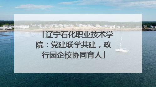 辽宁石化职业技术学院：党建联学共建，政行园企校协同育人