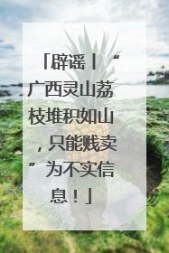 辟谣丨“广西灵山荔枝堆积如山，只能贱卖”为不实信息！
