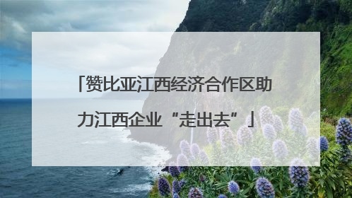 赞比亚江西经济合作区助力江西企业“走出去”