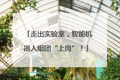 走出实验室，智能机器人组团“上岗”！