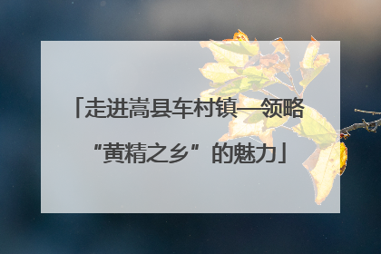 走进嵩县车村镇—领略“黄精之乡”的魅力