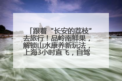 跟着“长安的荔枝”去旅行！品岭南鲜果，解锁山水康养新玩法，上海3小时直飞，自驾高速费优惠