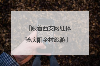 跟着西安网红体验庆阳乡村旅游