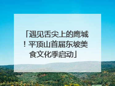 遇见舌尖上的鹰城！平顶山首届东坡美食文化季启动