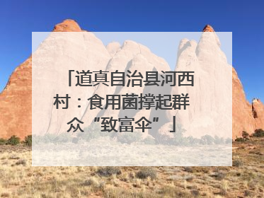 道真自治县河西村：食用菌撑起群众“致富伞”