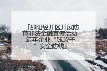 邵阳经开区开展防范非法金融宣传活动 筑牢企业“钱袋子”安全防线