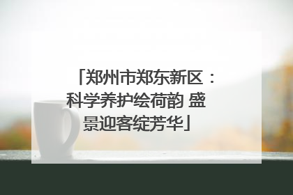 郑州市郑东新区：科学养护绘荷韵 盛景迎客绽芳华