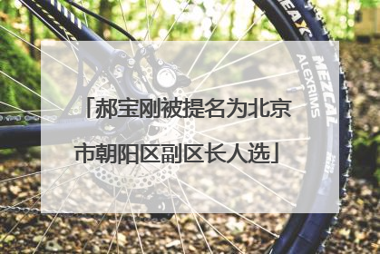 郝宝刚被提名为北京市朝阳区副区长人选