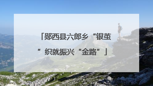 郧西县六郎乡“银茧”织就振兴“金路”