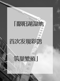 鄱阳湖湿地首次发现彩鹮筑巢繁殖