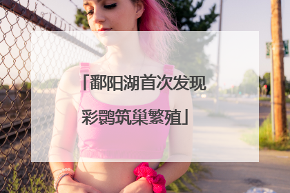 鄱阳湖首次发现彩鹮筑巢繁殖