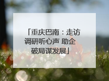 重庆巴南：走访调研听心声 助企破局谋发展