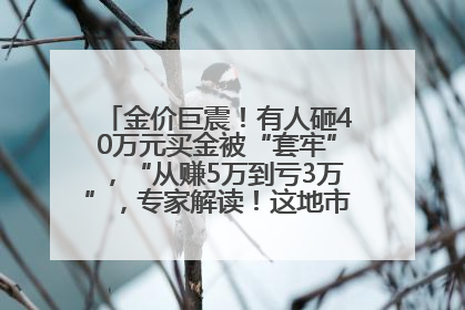 金价巨震！有人砸40万元买金被“套牢”，“从赚5万到亏3万”，专家解读！这地市民烈日下排队百米抢购黄金，“每克只要600多元”