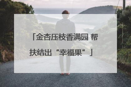 金杏压枝香满园 帮扶结出“幸福果”