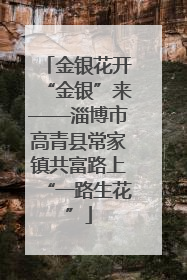 金银花开“金银”来——淄博市高青县常家镇共富路上“一路生花”