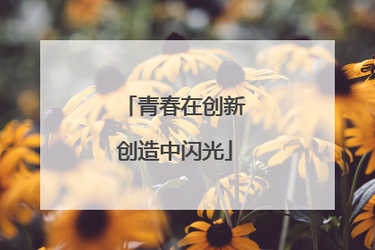 青春在创新创造中闪光