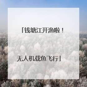 钱塘江开渔啦！无人机载鱼飞行