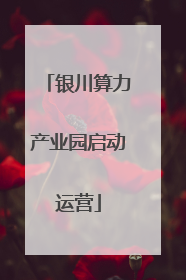 银川算力产业园启动运营