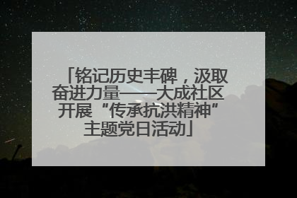 铭记历史丰碑，汲取奋进力量——大成社区开展“传承抗洪精神”主题党日活动