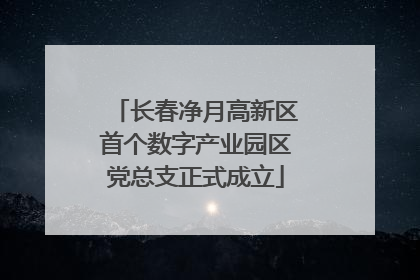 长春净月高新区首个数字产业园区党总支正式成立