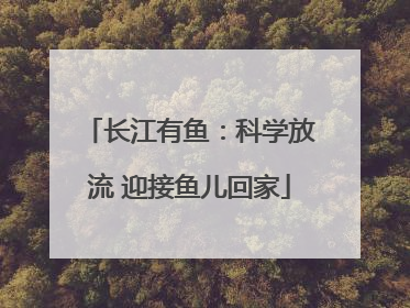 长江有鱼：科学放流 迎接鱼儿回家