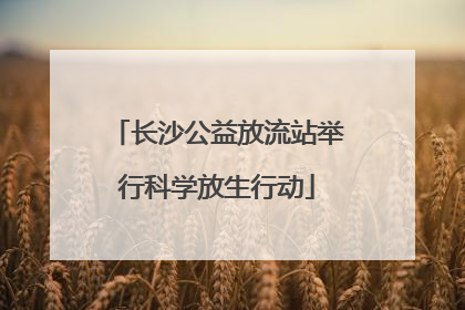 长沙公益放流站举行科学放生行动