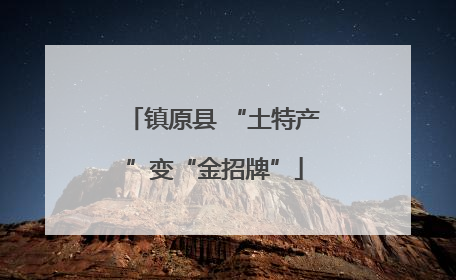 镇原县 “土特产”变“金招牌”
