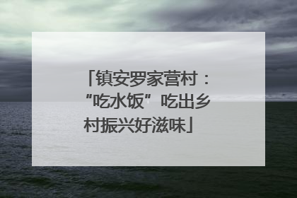 镇安罗家营村：“吃水饭”吃出乡村振兴好滋味