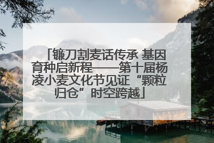 镰刀割麦话传承 基因育种启新程——第十届杨凌小麦文化节见证“颗粒归仓”时空跨越