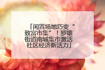 闲置场地巧变“致富市集”！罗雄街道南城集市激活社区经济新活力