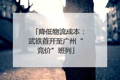 降低物流成本：武铁首开至广州“竞价”班列