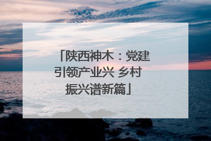 陕西神木：党建引领产业兴 乡村振兴谱新篇