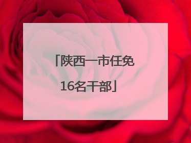 陕西一市任免16名干部