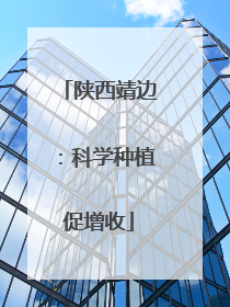 陕西靖边：科学种植促增收