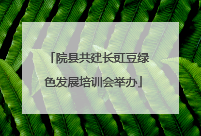 院县共建长豇豆绿色发展培训会举办