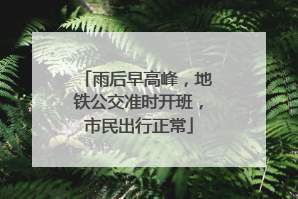 雨后早高峰，地铁公交准时开班，市民出行正常