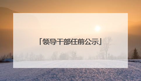 领导干部任前公示