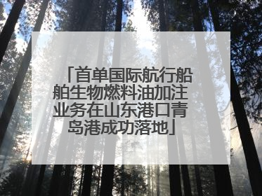 首单国际航行船舶生物燃料油加注业务在山东港口青岛港成功落地