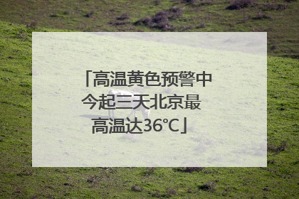 高温黄色预警中 今起三天北京最高温达36℃