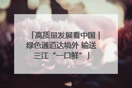 高质量发展看中国｜绿色通道达境外 输送三江“一口鲜”