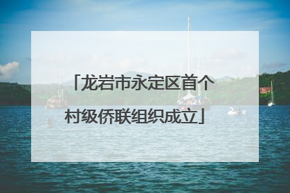 龙岩市永定区首个村级侨联组织成立