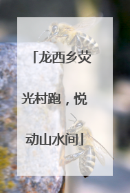龙西乡荧光村跑，悦动山水间
