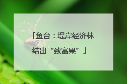 鱼台：堤岸经济林结出“致富果”