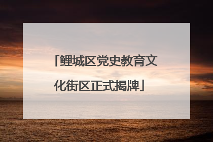 鲤城区党史教育文化街区正式揭牌