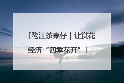 鹭江茶桌仔｜让赏花经济“四季花开”